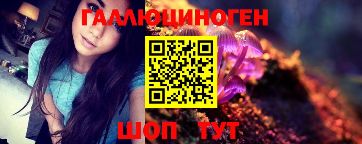 Псилоцибиновые грибы Psilocybe Петрозаводск