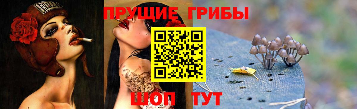 Галлюциногенные грибы ЛСД  Псилоцибиновые грибы GOLDEN TEACHER  Петрозаводск  Вход с VPN 